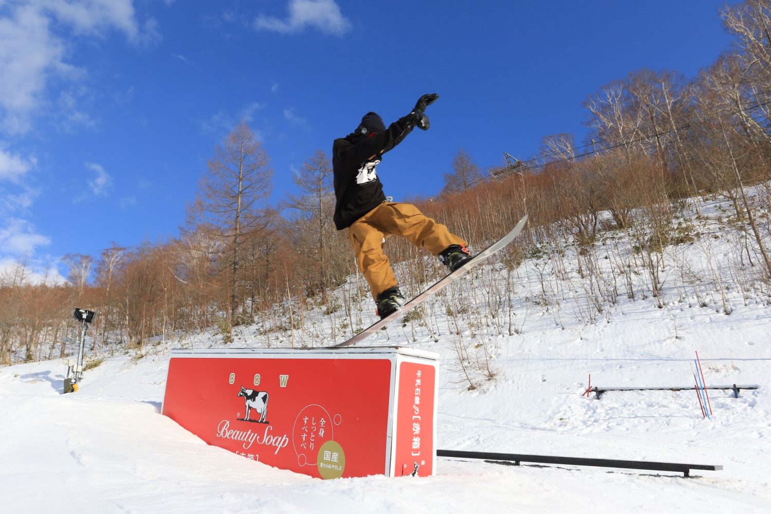 2025-2026年】ゲレンデで目立ちたいスノーボーダー必見！フリー