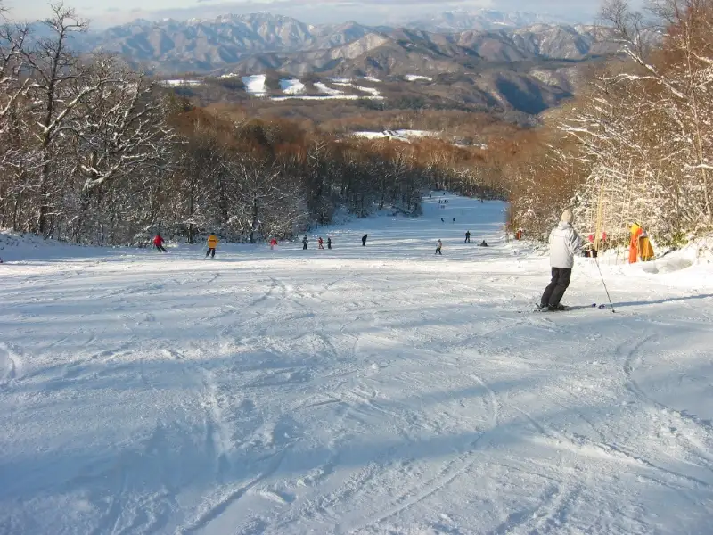 エーデルワイススキーリゾート(ゲレンデイメージ)