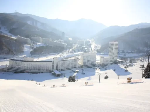 苗場スキー場(ゲレンデイメージ)