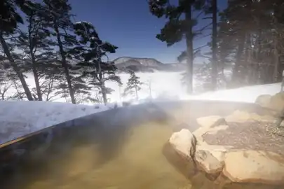 裏磐梯レイクリゾート五色の森 露天風呂